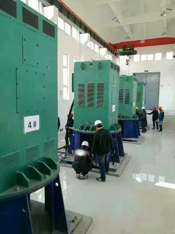五华某污水处理厂使用我厂的立式高压电机安装现场